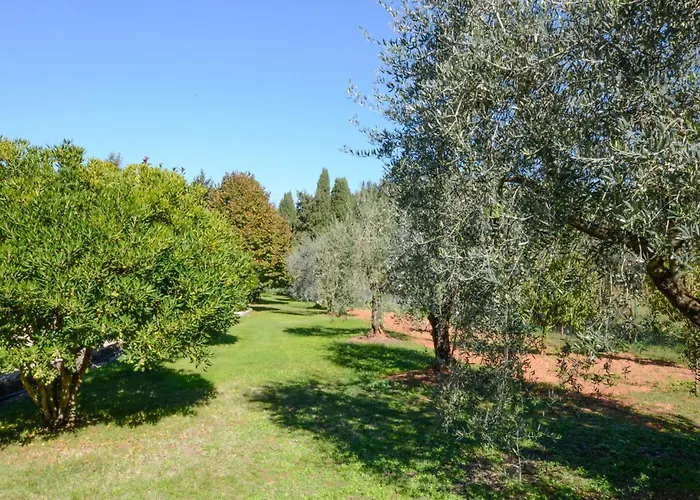 1 Bedroom In Casole dʼElsa
